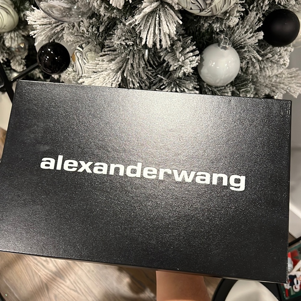 ALEXANDER WANG HEELS- BRAND NEW